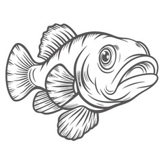 Clown Goby Fish Line Art Illustration