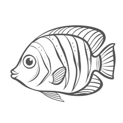 Coral Beauty Angelfish Line Art Illustration