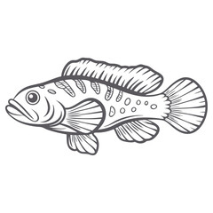 Diamond Goby Fish Line Art Illustration