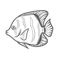 French Angelfish Line Art Illustration