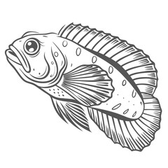 Obraz premium Lawnmower Blenny Fish Vector Illustration