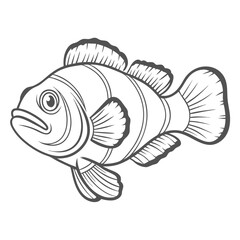 Clownfish Line Art Illustration, Isolated Vector