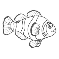 Clownfish Outline Illustration, Amphiprion Ocellaris