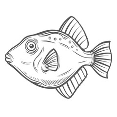 Niger Triggerfish Outline Illustration, Marine Life