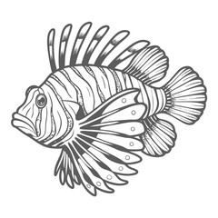 Fototapeta premium Detailed Lionfish Illustration, Pterois Volitans