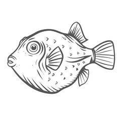Aiptasia Eating Filefish Vector Illustration