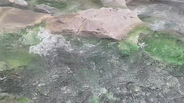 温泉が流れる川(動画)①