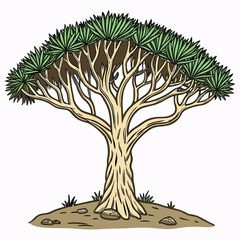 A captivating vector illustration of the Socotra Dragon Tree (Dracaena cinnabari), showcasing its unique umbrella-shaped canopy and vibrant crimson resin.​