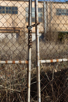 Locked metal gate in unkempt yard