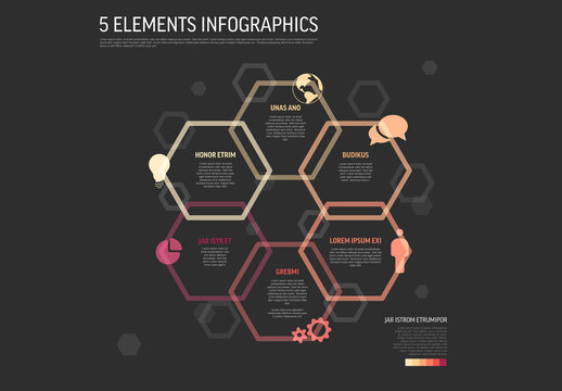 Five Elements Infographic Design with Hexagonal Structure and Icons