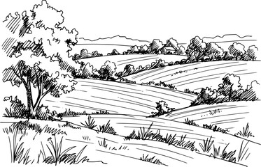 Fototapeta premium Rural Scene with Houses, Vineyard and Trees Sketch 