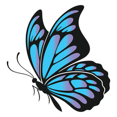 Obraz premium Butterfly Clipart Featuring Beautiful Vector Illustrations and Isolated Wings