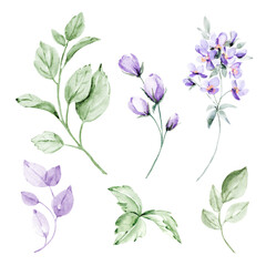 Flowers and leaves digital illustration, spring design, watercolor hand painting. Perfectly for printing, sublimation.	