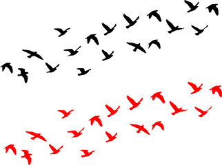 Flying Birds Group Vector Silhouette, vector set