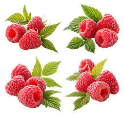 Set of organic red raspberries with green leaves isolated on a transparent PNG background. 