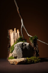 Contemporary still life with dried hydrangea, dried eryngium flowers and brown corkscrew on a dark background Northern natural composition with lichen, A place for your product