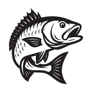 snapper mascot logo vector 