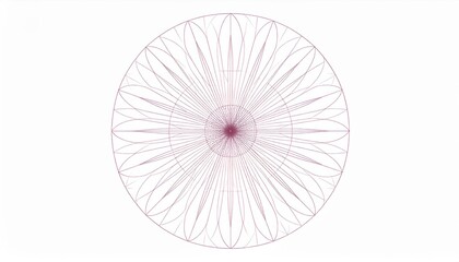 Abstract geometric patterns in mathematics digital canvas visual art creative environment top-down view design concepts