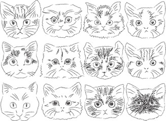 色んな種類の猫の顔　おしゃれなタッチ