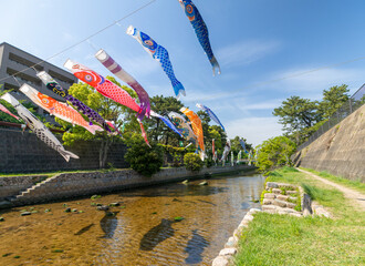 兵庫県西宮市 こいのぼりが泳ぐ夙川公園