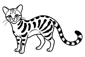 Fine Line Margay