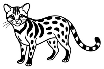 Fine Line Margay
