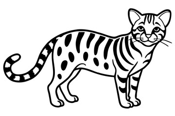 Fine Line Margay