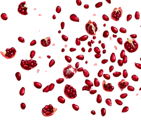 Falling pomegranate seeds on a transparent background,