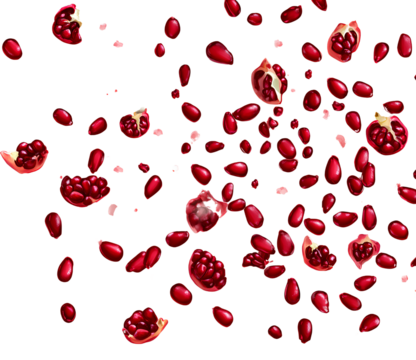 Falling pomegranate seeds on a transparent background,