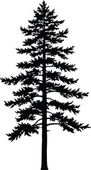 Minimalist Black and White Pine Tree Vector
