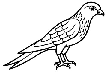 Flying Kestrel Vector