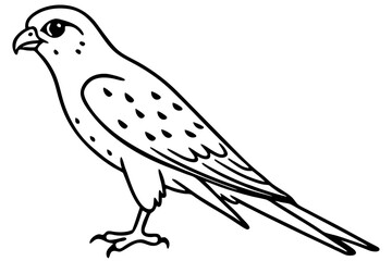 Flying Kestrel Vector