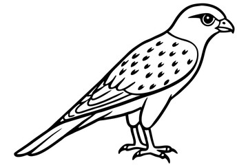 Flying Kestrel Vector