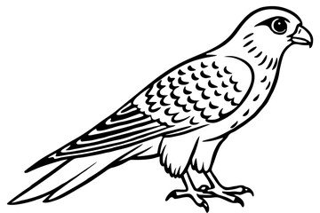 Flying Kestrel Vector