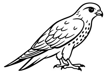 Flying Kestrel Vector