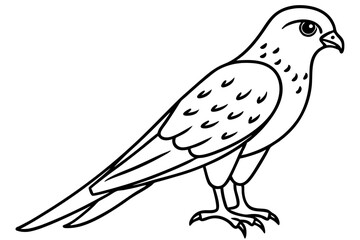 Flying Kestrel Vector