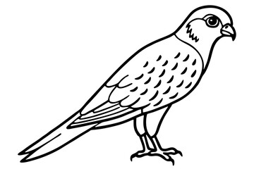 Flying Kestrel Vector