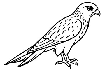 Flying Kestrel Vector
