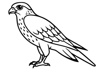 Flying Kestrel Vector