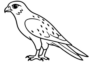 Flying Kestrel Vector