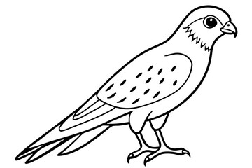 Flying Kestrel Vector