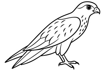 Fototapeta premium Flying Kestrel Vector