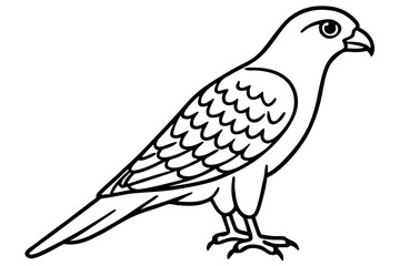 Flying Kestrel Vector