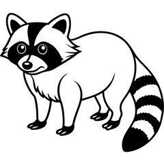 Raccoon Outline Digital Sketch