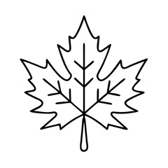 maple leaf icon, maple leaf line art - simple line art of maple leaf, perfect for maple leaf logos and icons
