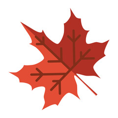 Maple Leaf Canada Color Icon