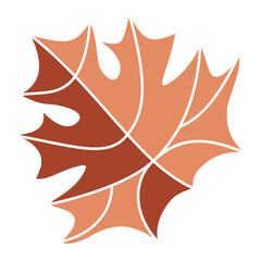 Maple Leaf Canada Color Icon