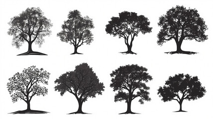 Silhouetted Symphony: An ensemble of majestic trees, each with its unique form and texture, stand in bold silhouette against a pristine sky, celebrating the beauty of nature.