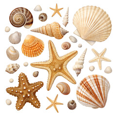 Collection of assorted seashells and starfish isolated on white background, marine decorative elements, summer beach concept, Ai generative