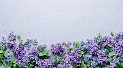 Purple hydrangeas arranged on a textured light gray background, flat lay style